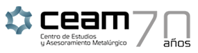 CEAM Logo